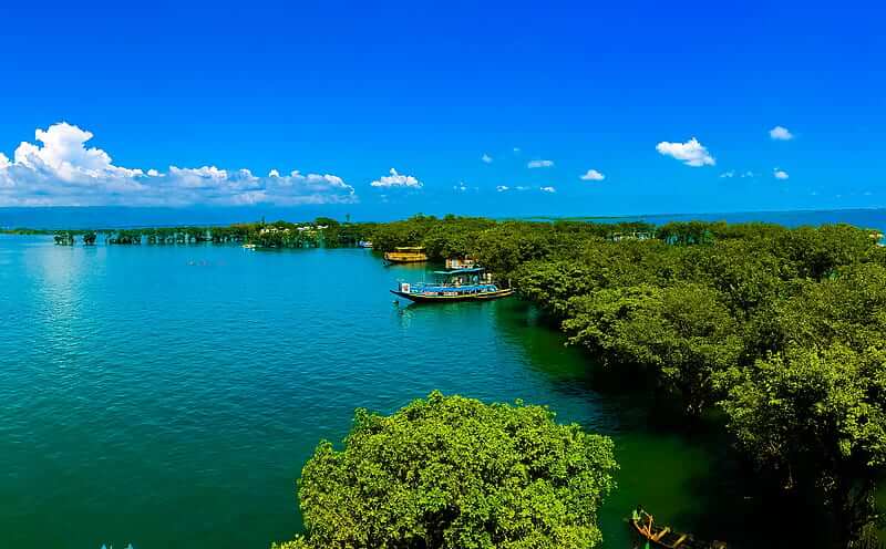 Dhaka to Tanguar Haor - 3 days 2 nights